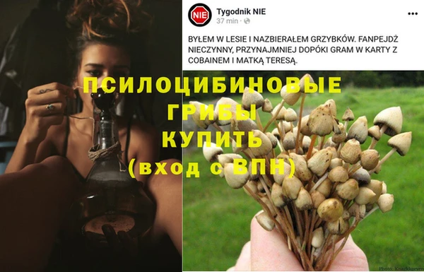 меф Алексеевка