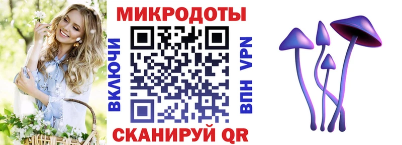нарко площадка Telegram Игарка Псилоцибиновые грибы Cubensis