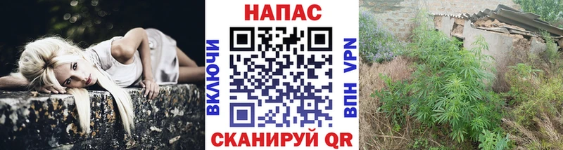 Шишки марихуана тримм хочу наркоту Игарка